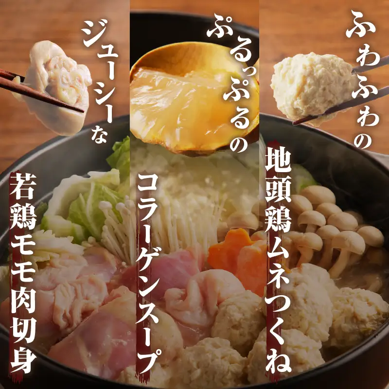 みやざき郷土料理セット(合計2.2kg以上) 肉 鶏 鶏肉 鍋 国産_T017-0045