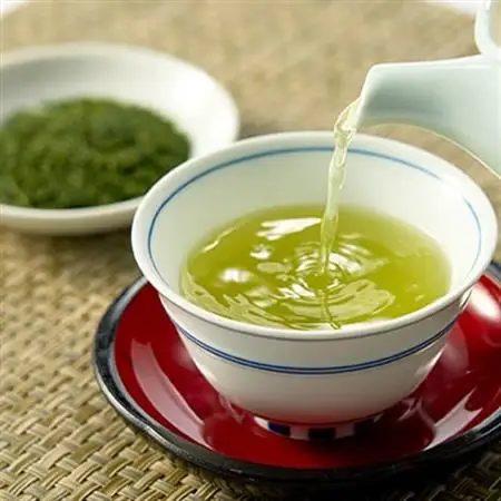 ダブル受賞!日本茶AWARD審査員奨励賞・仕上技術競技会最高金賞! 茶審査技術八段監修!深蒸し掛川茶【配送不可地域：離島・沖縄県】【1597281】