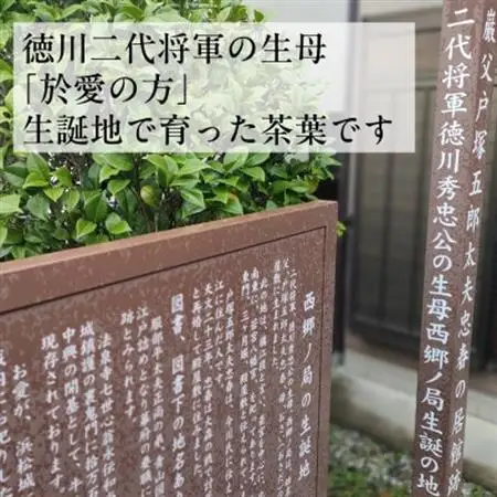 有機栽培　深蒸し掛川茶　於愛の方(おあいのかた)【配送不可地域：離島・沖縄県】【1666371】