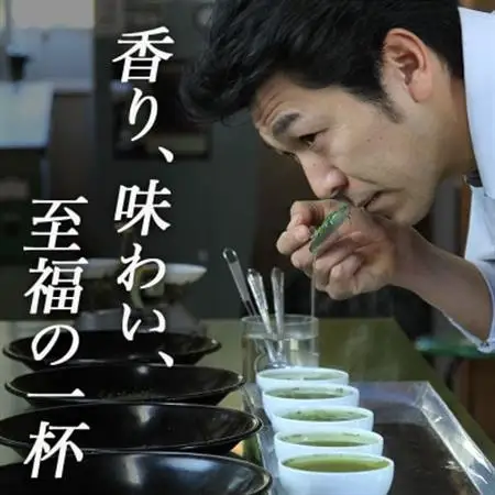 深蒸し掛川茶「極美」100g×3袋セット【配送不可地域：離島・沖縄県】【1091967】