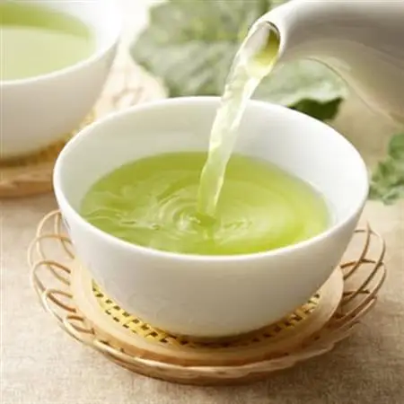 【2026年先行予約】新茶　天皇杯受賞茶園栽培のプレミアム茶100g×5袋【配送不可地域：離島・沖縄県】【1551501】