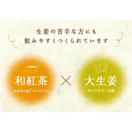 優しいしょうが紅茶「ジンジャーティー」(紅茶、生姜、共に掛川産)ティーバッグ2g×13入り×5袋【配送不可地域：離島・沖縄県】【1365356】