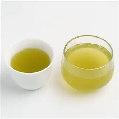 【訳あり】エコ袋 緑茶 ティーバッグ ひも付 2g50入2袋 深蒸し掛川茶 静岡県掛川産 一番茶【配送不可地域：離島・沖縄県】【1309603】