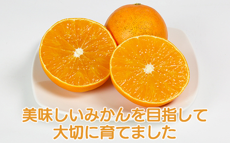 【訳あり・規格外】九州のオレンジ「ハウス天草」約3～3.3kg【オレンジ農園】 2026年 12月 冬 発送 甘い 果物 とろける フルーツ 柑橘 オレンジ みかん 先行予約 数量限定 期間限定 九州 ＜114-003＞