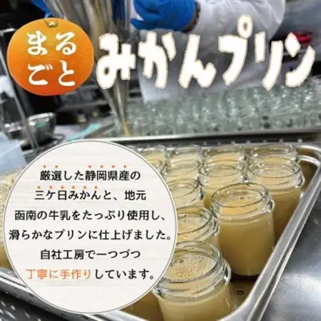 〔伊東温泉大人気〕丸ごとみかんプリン9個入_菓子・スイーツ プリン  _【配送不可地域：離島】【1538907】