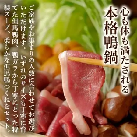 「但馬鴨」鴨鍋セット(大)玄米うどん付き【配送不可地域：離島】【1537944】