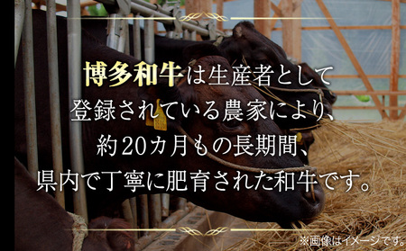 訳あり 博多和牛 A5 A4 焼肉用 1kg 株式会社MEAT PLUS《30日以内に出荷予定(土日祝除く)》福岡県 鞍手郡 小竹町 博多和牛 和牛 牛肉 肩ロース バラ カルビ 焼き肉 バーベキュー