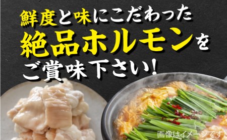 九州産もつ鍋セット(４人分)【三田川ホルモン専門店】[FAC001]