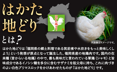 はかた 地どり 炭火焼 セット 500g 株式会社MEAT PLUS《30日以内に出荷予定(土日祝除く)》福岡県 鞍手郡 小竹町 地鶏 はかた地どり 焼き鳥 おかず 惣菜 鶏 鶏肉