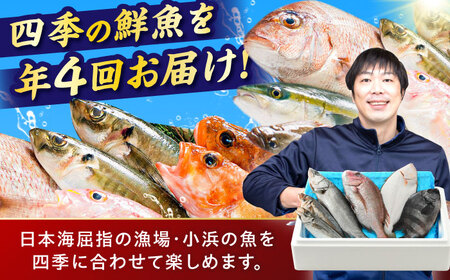 【定期便】全4回(3ヶ月毎発送)【加福鮮魚】「若狭小浜港産地直送」旬の天然鮮魚お任せセット！地魚 下処理済み 刺身 煮魚 焼き魚  小浜市 / 加福鮮魚 【配送不可地域：北海道、北東北（秋田、青森、岩手）、九州、沖縄、離島】[BFBC015] 