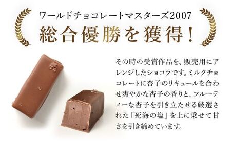 洋菓子マウンテン 杏と塩 （各5個入） ふるさと納税 福知山市 スイーツ 洋菓子 チョコレート ショコラ ショコラティエ 世界大会 総合優勝 ミルクチョコレート 杏 フルーティ 死海の塩 5個入 ギフト プレゼント 【fc-EA001】【ショコラナビ】