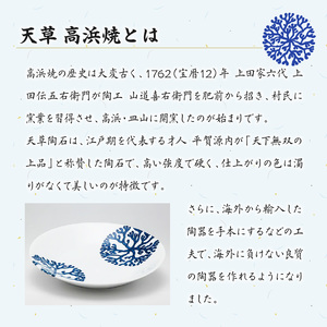 S026-016_高浜焼寿芳窯　平型コーヒーカップ＆ソーサ―