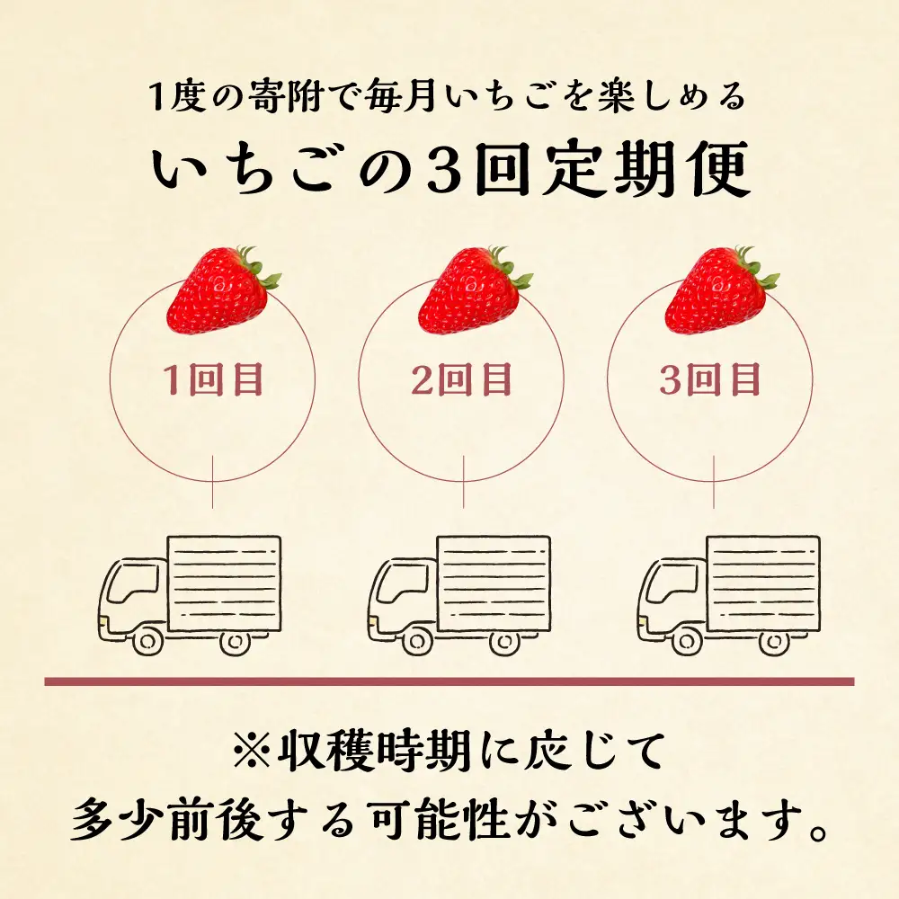 【定期便3回】【2027年1月より発送開始】自宅用 いちご 品種おまかせ 1kg (250g × 4p ）3か月 3回 ｜品種おまかせ （紅ほっぺ/よつぼし/かおり野） フルーツ 果物 苺 イチゴ しあわせ苺 サイズ バラバラ 訳あり 訳アリ 含む 農園直送 人気 国産 岐阜県 本巣市 2027年 先行予約 45000円 family農園watanabe [mt1307]
