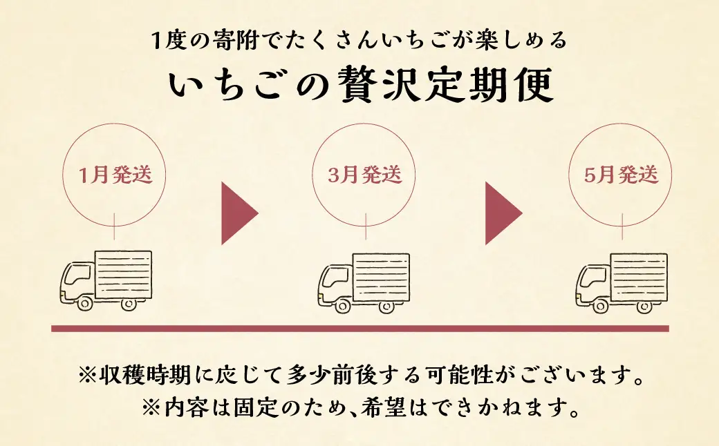 【定期便3回】【2027年1月より発送開始】いちご贅沢 紅ほっぺ 1kg ( 250g × 4p ) しあわせ苺 サイズ バラバラ 訳あり 訳アリ 含む 農園直送 フルーツ 苺 イチゴ 人気 本巣市 果物 先行予約 family農園watanabe [mt211] 