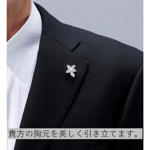 102405-4　光のレジェンド「侯爵ピンブローチ」開運