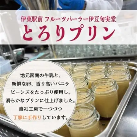 〔伊東温泉人気〕旬実堂のとろりプリン9個入_菓子・スイーツ プリン  _【配送不可地域：離島】【1538902】