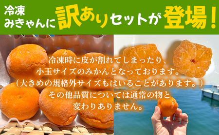 ＜【訳あり】冷凍みきゃんセット みきゃん盛り（皮付き15個）＞ ミカン 温州みかん 柑橘 果物 フルーツ デザート 詰合せ 特産品 渡江から一歩を踏み出す会 食べて応援 愛媛県 西予市【冷凍】『2026年5月から順次出荷予定』ATI0035