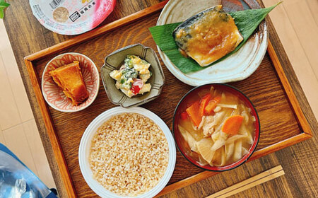 夢つくし玄米パックごはん 24パック / パックご飯 お米 コメ こめ[AFBD007] 