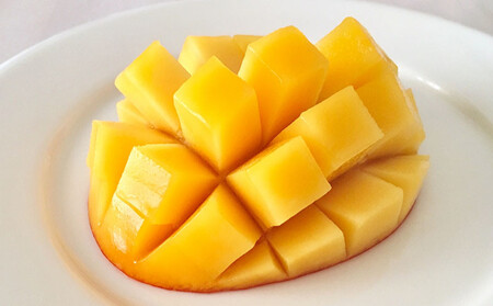 マンゴー【2026年発送】久米島熱帯果樹園「特選」極上完熟マンゴー1玉（450g以上）糖度15度以上 アーウィン