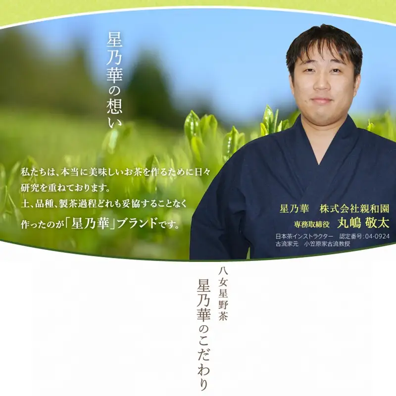 八女星野茶 星乃秋桜 煎茶100g×1 かぶせ茶100g×1【A5-270】