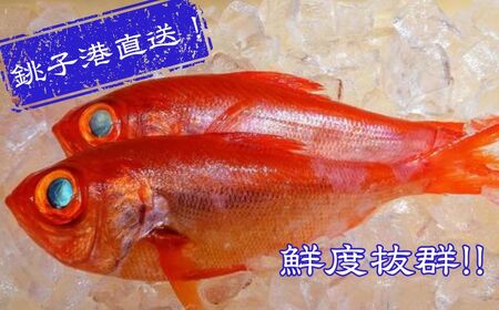 生 キンメダイ  2尾 （1尾700g～800g）