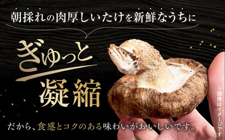 【小粒たっぷり】乾燥しいたけ 干し椎茸 合同会社knot J-126