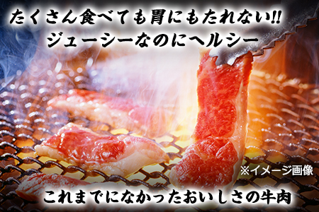 あか牛 焼き肉用 900g 肉のみやべ 赤牛《120日以内に出荷予定(土日祝除く)》