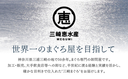 とにかくまぐろの質に自信あり ！ 問屋直送 ！ 天然 三崎まぐろ 1kg 中トロ 赤身 M020-011 冷凍 マグロ 【 まぐろ専門の卸問屋です 】