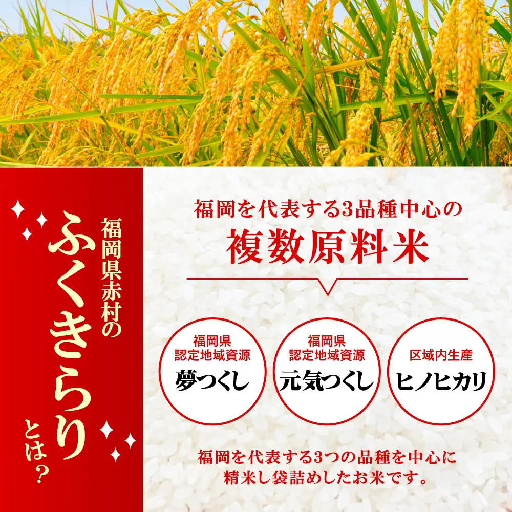 【累計25万件以上出荷】訳あり 令和7年産 ふくきらり 5kg 複数原料米 福岡県 赤村 白米 精米 国産 限定 ごはん ご飯 白飯 米 5kg お米 ふるさと人気 ランキング (3X5)