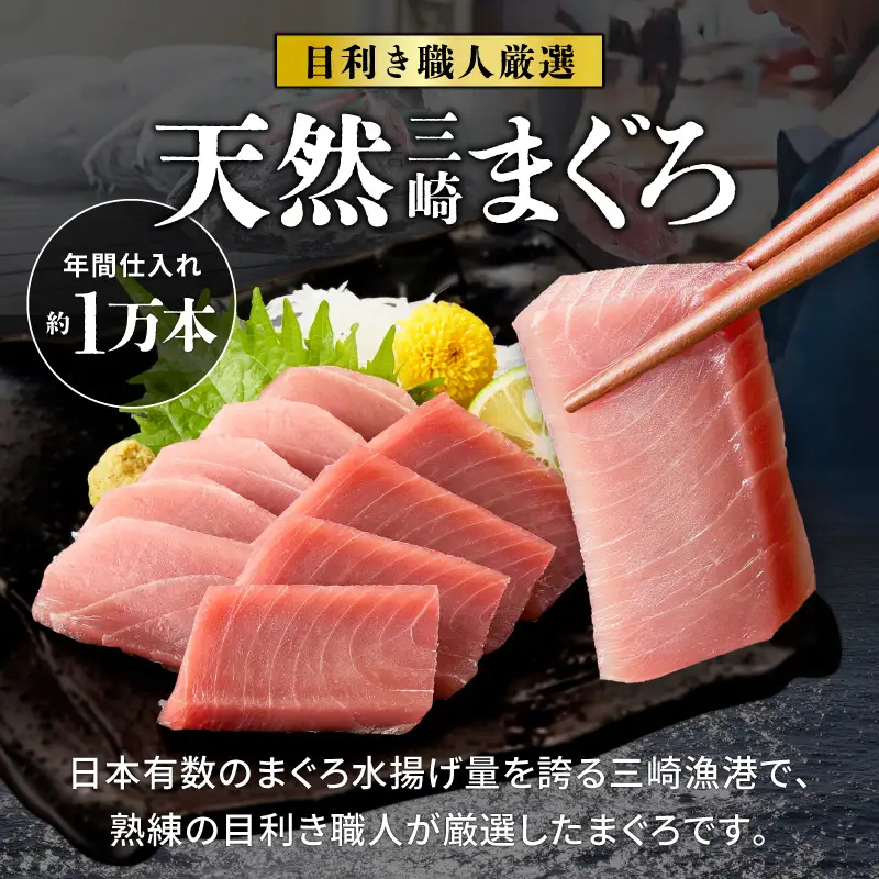 ＜選べる配送月＞＜訳あり＞天然 三崎まぐろ 1kg たっぷり10人分！ 不揃い 赤身 M020-013 【 訳あり 】 冷凍 マグロ 【 まぐろ専門の卸問屋です 】
