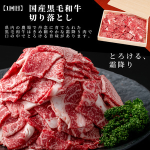 【定期便 全2回】国産 黒毛和牛2種お楽しみ定期便(計1.9kg) 国産 黒毛和牛 切り落とし 4等級 以上 九州産 ロース 大判 焼肉 和牛 牛 牛肉 焼き肉 冷凍 小分け 訳あり 定期便 頒布会 t0030-032