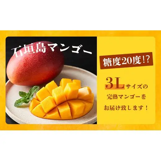 【先行予約】3Lサイズ 石垣島マンゴー 3玉入り　TF-28_R8