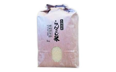 【6ヶ月定期便】 らんこし米 （ゆめぴりか） 5kg（タナカ農園）【2024年10月下旬より順次発送】 米 こめ コメ お米 白米 精米 ご飯 ごはん