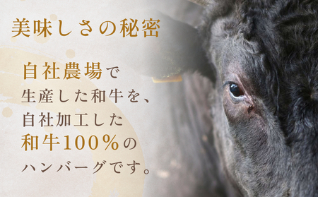 黒毛和牛 三陸金華和牛 南部の赤牛 伊達の赤 和牛ハンバーグ 3種 各200g×3 食べ比べ セット　お肉 ひき肉 挽肉 おかず 冷凍