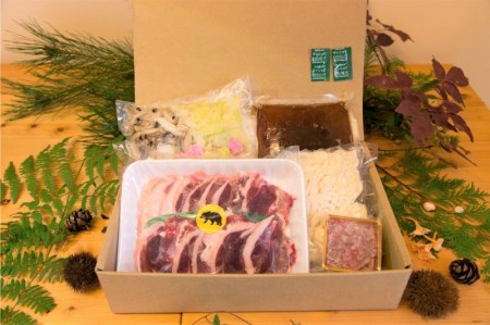 飛騨ジビエ＆飛騨野菜のクマ鍋セット(2～3人前) 水村農園 白ネギ・うどん入り ジビエ鍋[Q500]