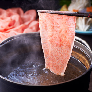 【10ヶ月定期便】 A5等級 博多和牛 肩ロース うす切り 1kg（500g×2パック） 肉 牛肉