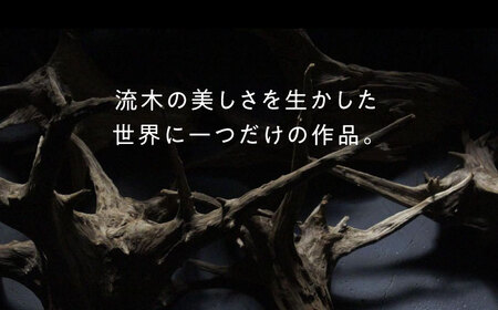 W Bulb Roots pendantlight ペンダントライト 糸島市 / WOOD'ARBRE(ウッドラヴル)【TIME】 インテリア 照明 ライト [ADC004]