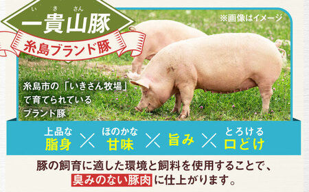 一貴山豚 切り落とし 計1kg(250g×4p)  糸島市 / いきさん牧場 豚肉 冷凍 [AGB057]