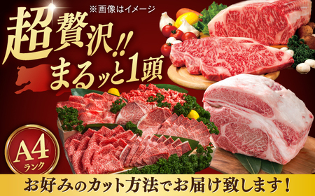【一頭丸ごと】 博多和牛 オーダーカット セット  [ADAQ099] 牛 牛肉 定期便
