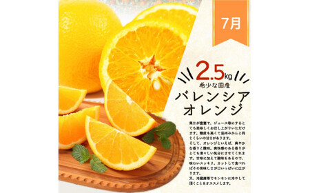 定期便 【全4回】果物定期便  バレンシア 桃 ひらたねなし柿 富有柿 【tkb377】