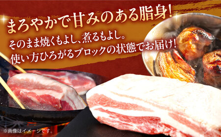 【定期便】 豚肉 ブロック 総計9kg NAC615 豚肉 全12回