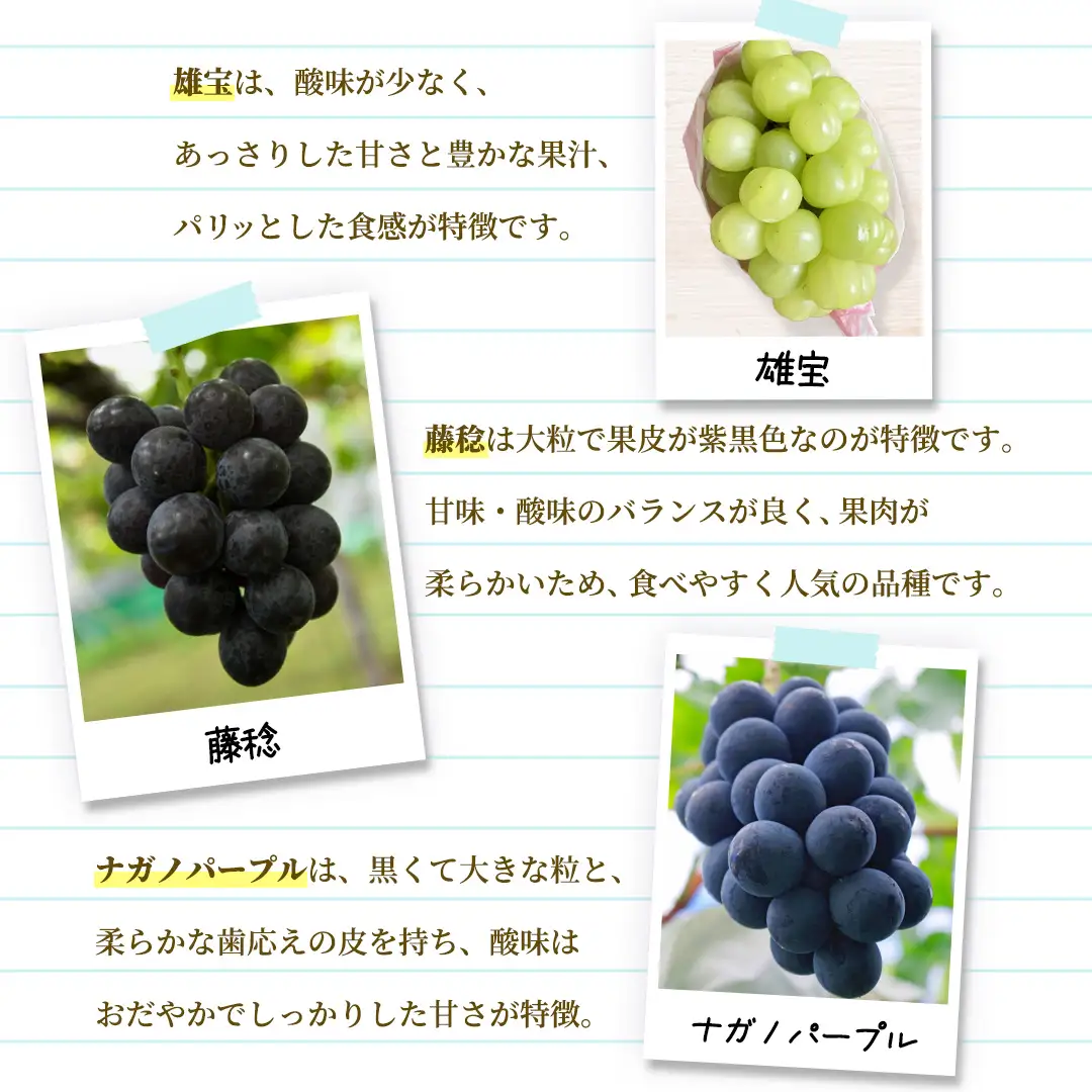 ＼訳あり ご家庭用／大粒ぶどう（種なし）詰合せ 合計 3～5房入 (DM004)