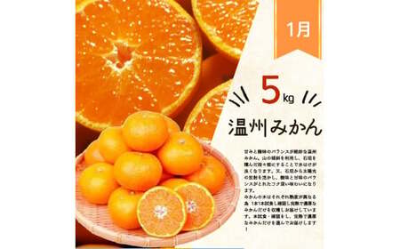 【全3回】和歌山旬のフルーツ定期便 (みかん・清見オレンジ・桃)【tkb381】