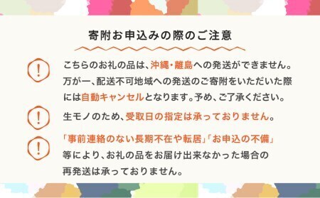 先行予約【楓】全4回フルーツ定期便 2026年産春始まり mm-ft4xx-a