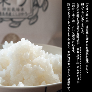 米 コシヒカリ 3kg 令和7年産 阿波ノ北方米
