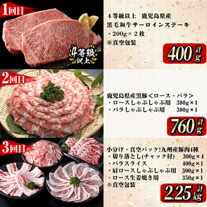 【定期便全12回】牛・豚堪能定期便(12ヶ月連続・計15.7kg超) 黒毛和牛 国産牛 九州産 豚 豚肉 肉 牛肉 国産 4等級 訳あり 小分け 真空包装 冷凍 t0199-001