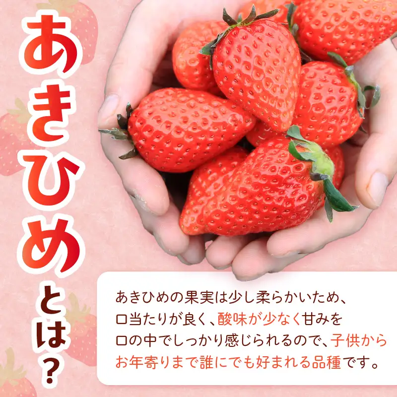 【先行予約】【特選】京都・まつみやファームの大粒いちご（あきひめイチゴ）15～20粒（2027年2月上旬～発送）農家直送 いちご