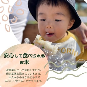 【6回定期便】減農薬 特別栽培米 畑中さん ひのひかり 白米 5kg ヒノヒカリ 奈良県