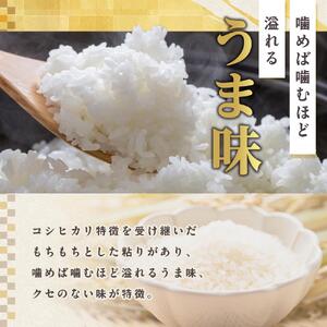 米 アキサカリ 精米 5kg ｜令和7年度産 コメ 白米 お米 ご飯 備蓄 国産  徳島