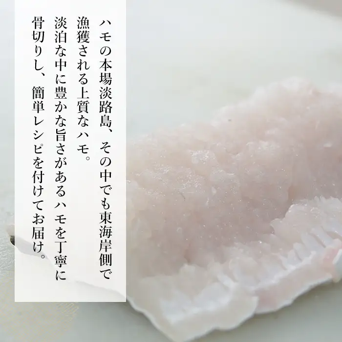 淡路島産はもセット【冷凍】(約4人前）　鱧